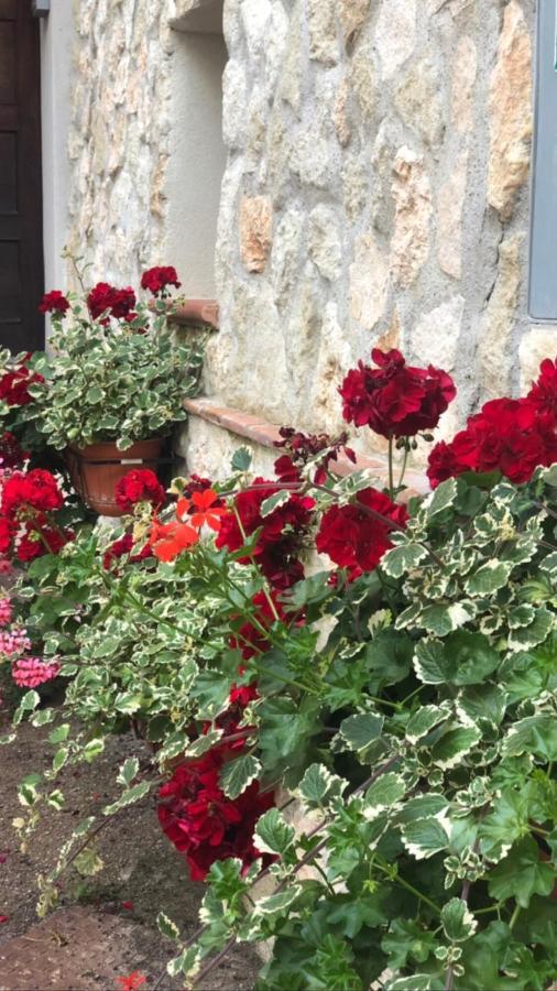 La Casetta Di Elena Lamezia Terme Zewnętrze zdjęcie