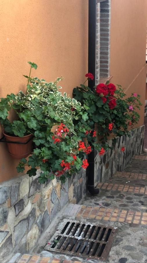 La Casetta Di Elena Lamezia Terme Zewnętrze zdjęcie